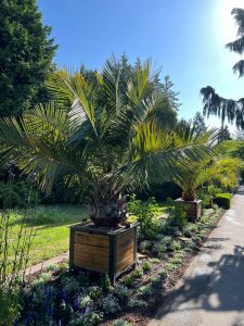 PHOTO-2025-05-24-11-36-33