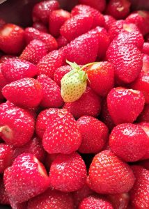 PHOTO-2025-05-25-15-42-55