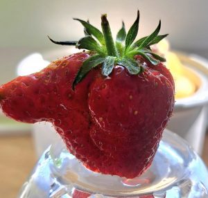 PHOTO-2025-05-25-15-43-36